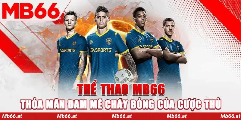 Cá cược thể thao mb66 được nhiều người yêu thích